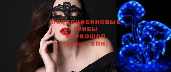 соль ск Алексин