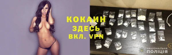 соль ск Алексин